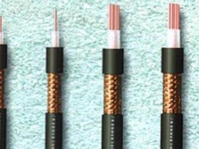 ��|��(b��o)�r(ji��)��(du��)�����L(f��ng)늈�(ch��ng)�(xi��ng)Ŀ���P(gu��n)��Ҫ