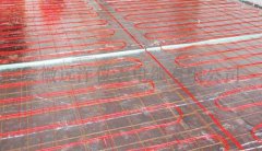  �l����|�r��֪���� 